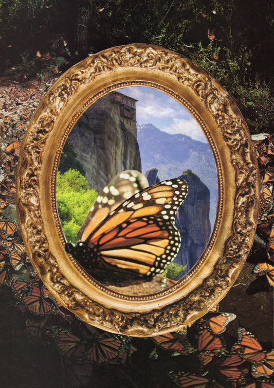 Butterfly Effect